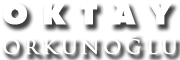 orkunogluvoleybol.com